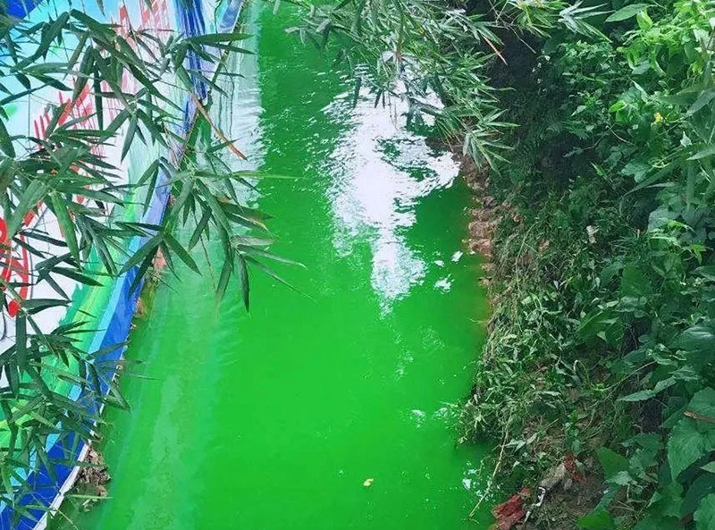 觸目驚心！水全都“染綠”了！多家企業被查處！
