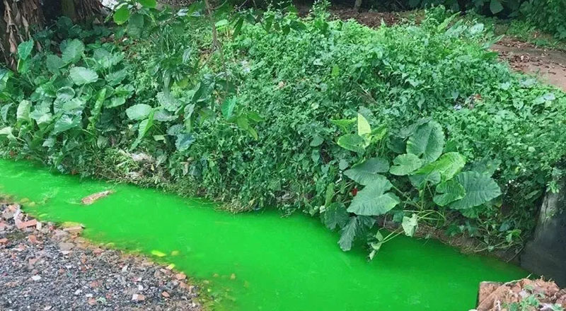 觸目驚心！水全都“染綠”了！多家企業被查處！