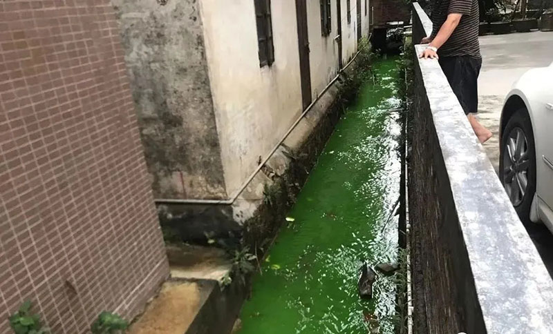 觸目驚心！水全都“染綠”了！多家企業被查處！