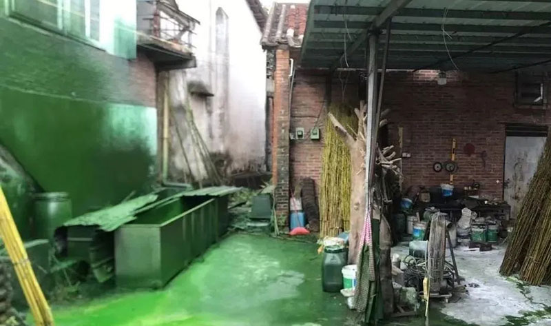 觸目驚心！水全都“染綠”了！多家企業被查處！